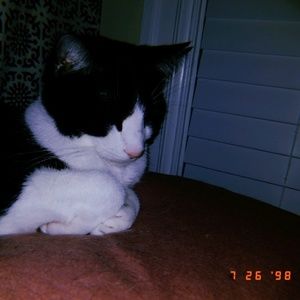 Meet your Posher, Kariah